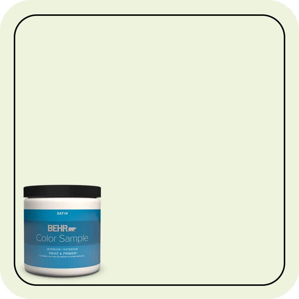 BEHR PREMIUM PLUS #430C-1 White Willow Enamel Interior/Exterior Paint & Primer Color Sample (1)