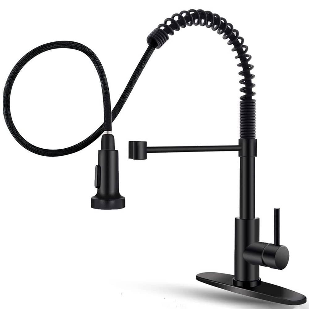Wudkey 1-Piece Faucet with Pull Down Sprayer Included, Stainless Steel Single Handle in Black for Farmhouse Camper Laundry (1)