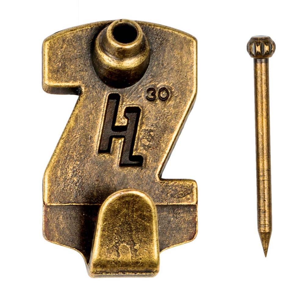 HangZ 10-100 lb. Gallery Picture Hooks Value Pack (2)