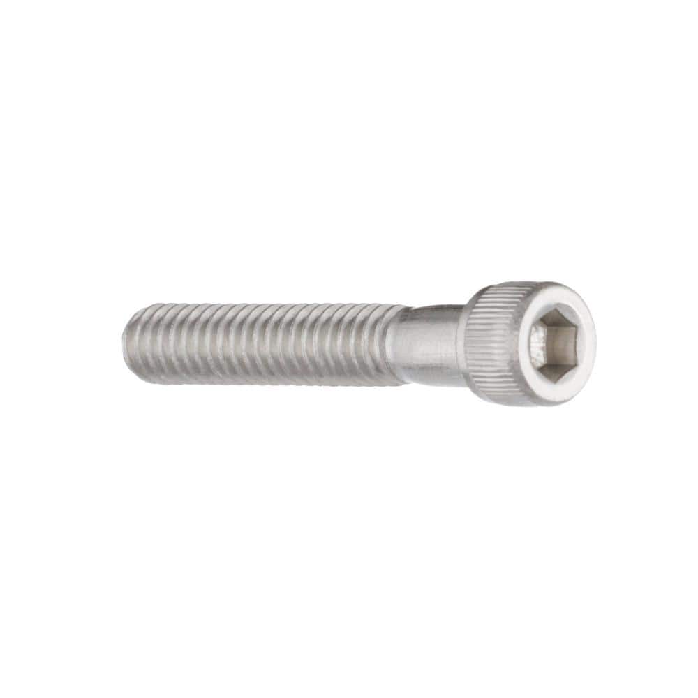 Everbilt 1/4 in.-20 x 1-1/2 in. Hex Socket Head Stainless Steel Socket Cap Screw (2)