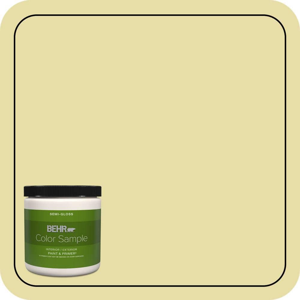 BEHR PREMIUM PLUS #P350-3 Green Charm Interior/Exterior Paint & Primer Color Sample (1)
