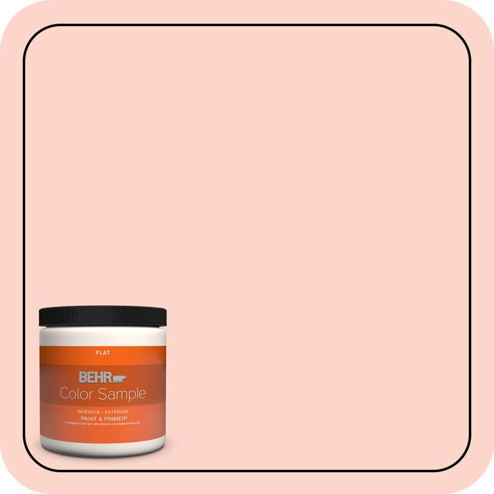BEHR PREMIUM PLUS #190A-2 Coral Mantle Enamel Low Odor & Primer (1)
