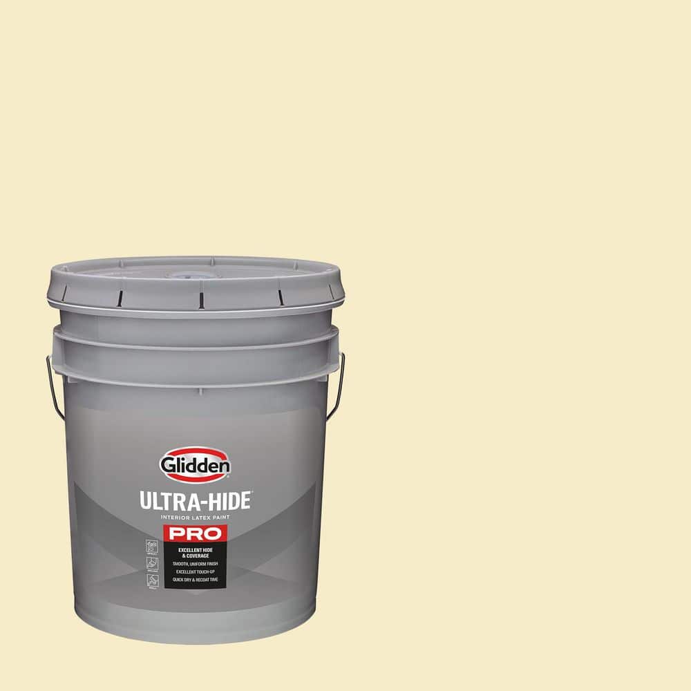 Glidden Ultra-Hide 1 gal. PPG1206-3 Shiny Silk Eggshell Interior Paint