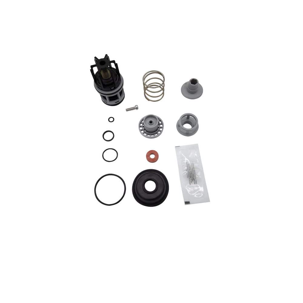 Wilkins Standard Repair Kit, 1/2 in. - 3/4 in. 975XL3, Complete Internal, Checks and Relief (1)