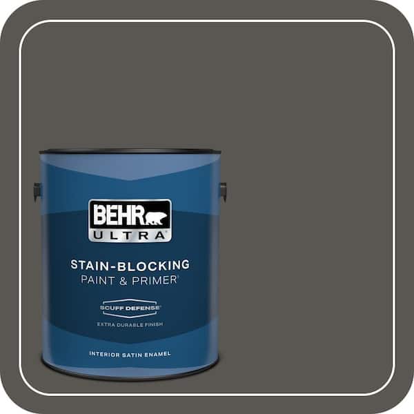 BEHR PREMIUM PLUS #BXC-17 Dominant Gray Flat Interior/Exterior Paint & Primer Color Sample (3)