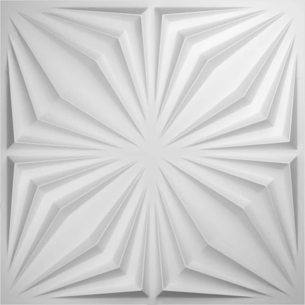 Ekena Millwork 19 5/8 in. x 19 5/8 in. Asher EnduraWall Decorative 3D Wall Panel (1)