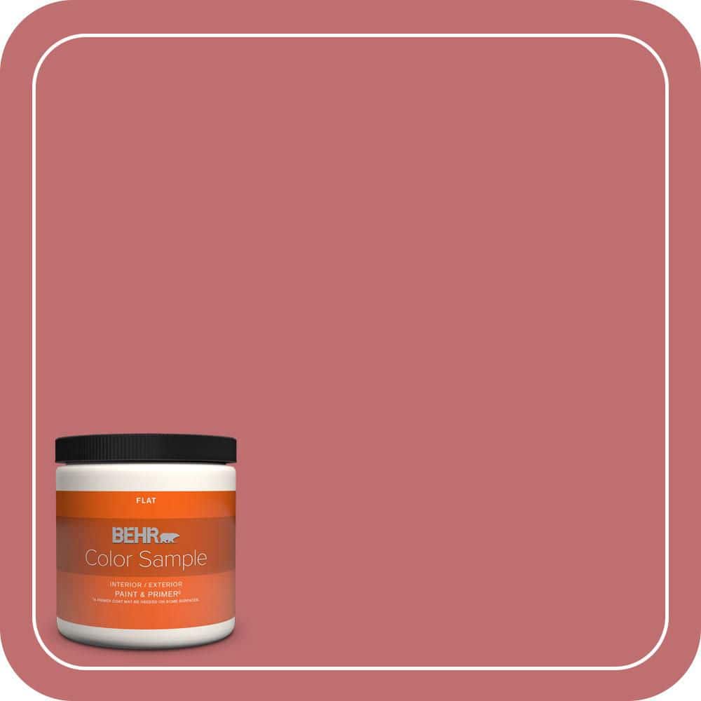 BEHR PREMIUM PLUS Home Decorators Collection #HDC-SP14-8 Art House Pink Enamel Interior/Exterior Paint & Primer Color Sample (1)