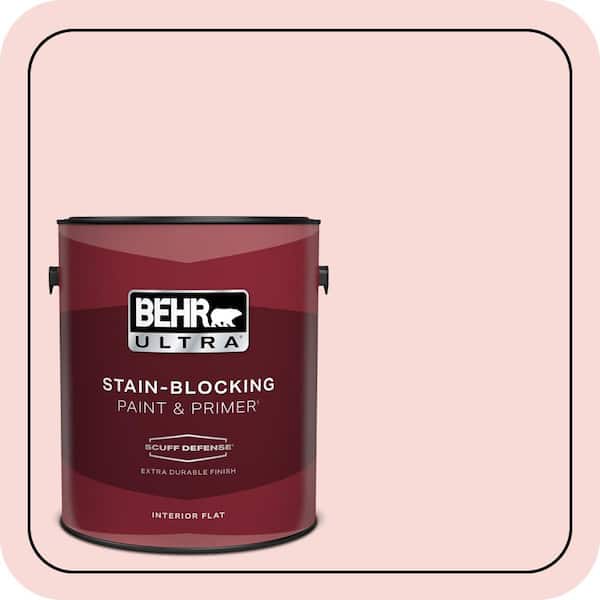 BEHR PREMIUM PLUS #160A-2 Pale Shrimp Enamel Low Odor & Primer (3)