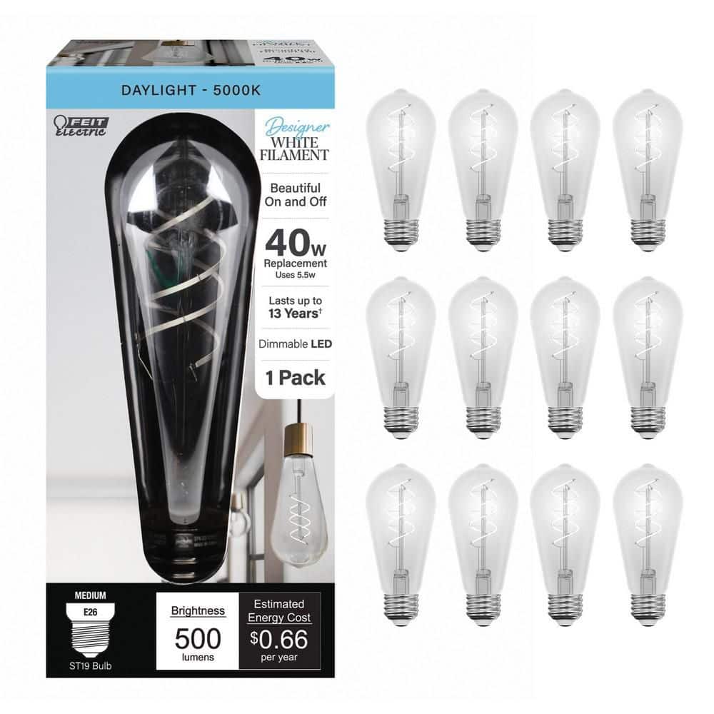 Feit Electric 40-Watt Equivalent ST19 Dimmable Double Spiral White Filament Clear E26 Vintage Edison LED Light Bulb, 5000K (12-Pack)
