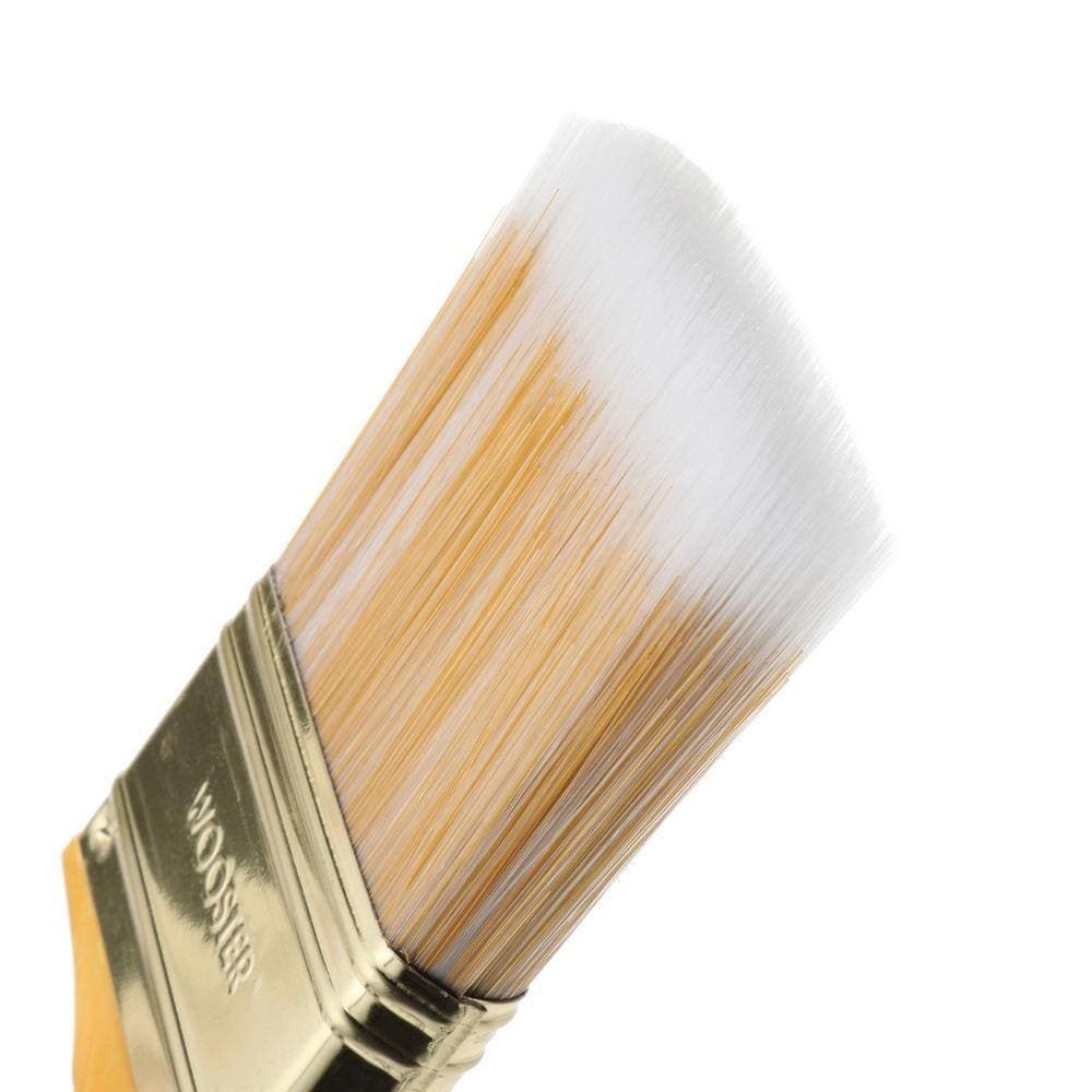Wooster Softip 2-1/2 in. Flat Brush (2)