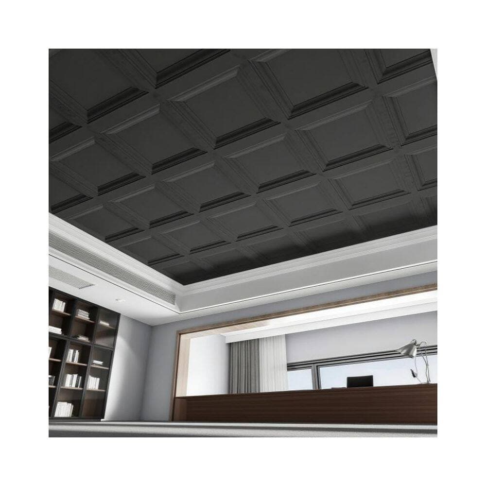 Pro Space 2 ft. x 2 ft. Lay-in Ceiling Tile Panel-PVC/Vinyl with Icon Relief, Black Finish, Feather-Light (Case of 40) (2)