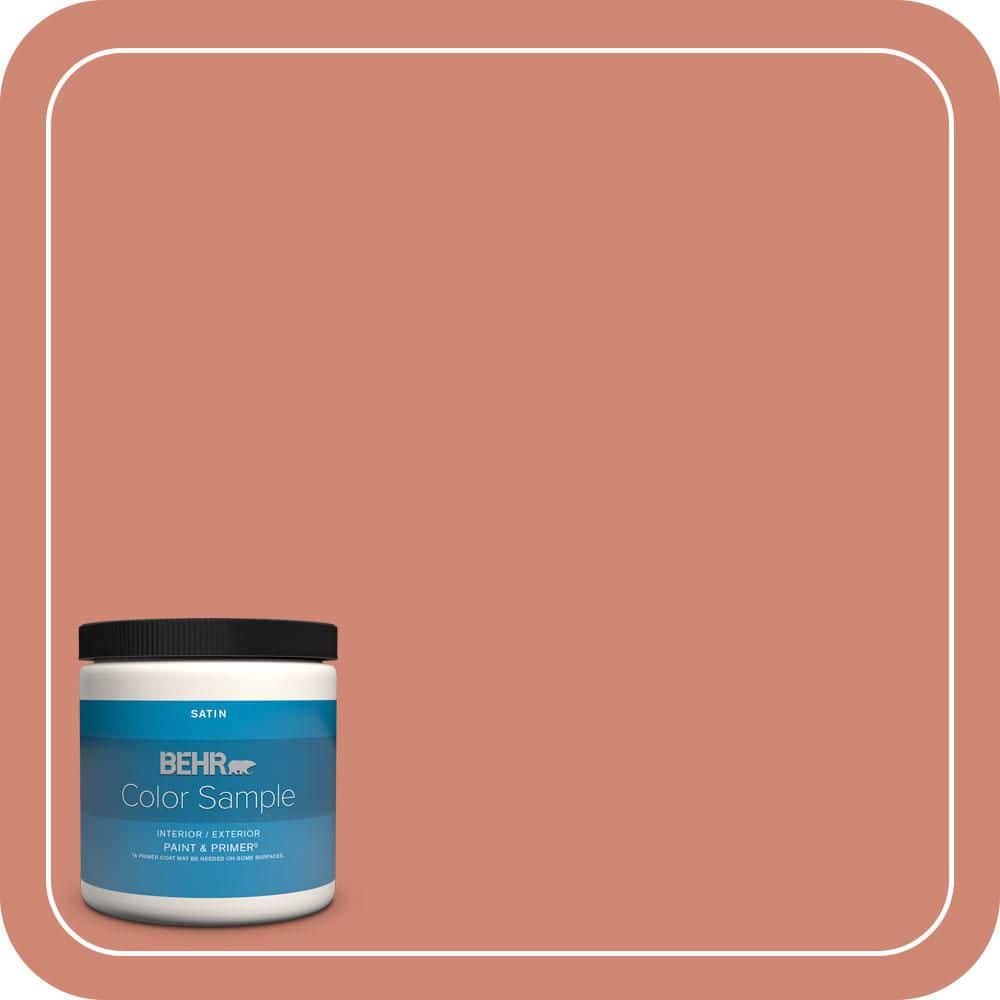 BEHR PREMIUM PLUS #210D-5 Copperleaf Enamel Low Odor & Primer (1)