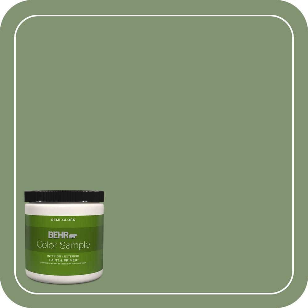 BEHR PREMIUM PLUS #BIC-26 Aloe Plant Flat Low Odor & Primer (1)