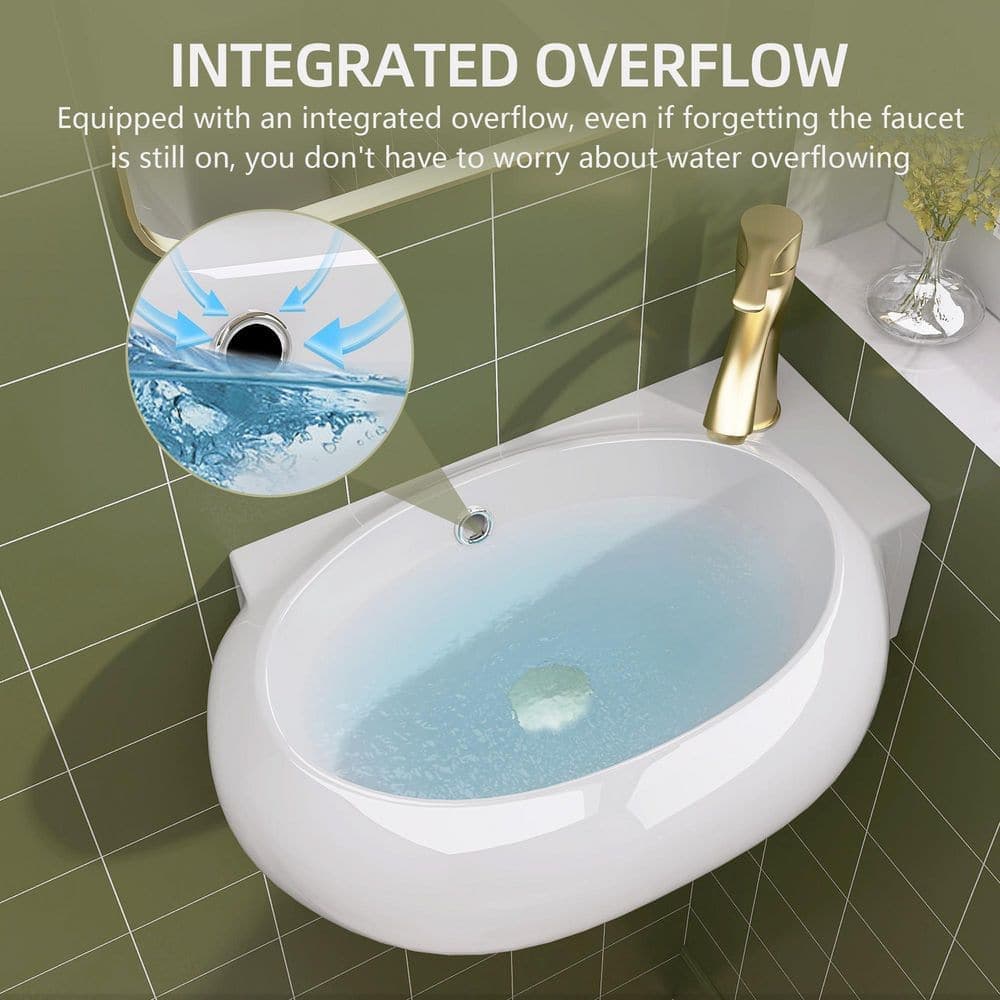 Zeafive 16.5 in. W x 11in. D x 5.7 in. H White Porcelain Ceramic Oval Wall-Mounted Bath Vessel Sink Single Bowl w/ 1 Faucet Hole (3)