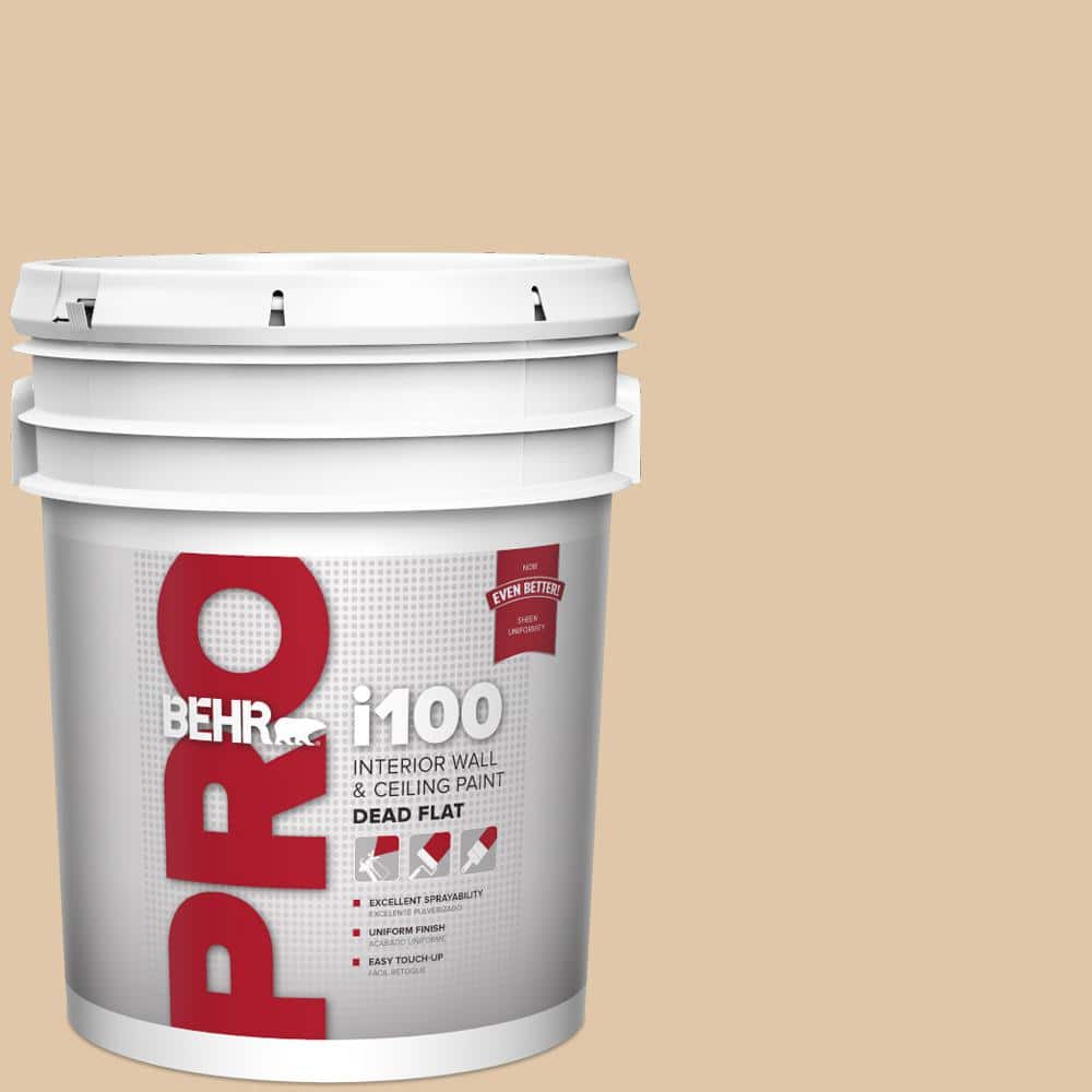BEHR PRO 5 gal. #S260-2 Pumpkin Seed Dead Flat Interior Paint (1)