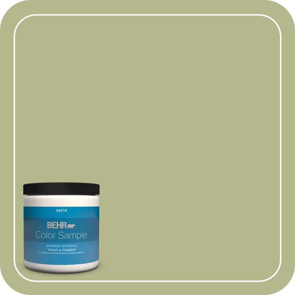 BEHR PREMIUM PLUS Home Decorators Collection #HDC-SP14-1 Secret Glade Enamel Interior/Exterior Paint & Primer Color Sample