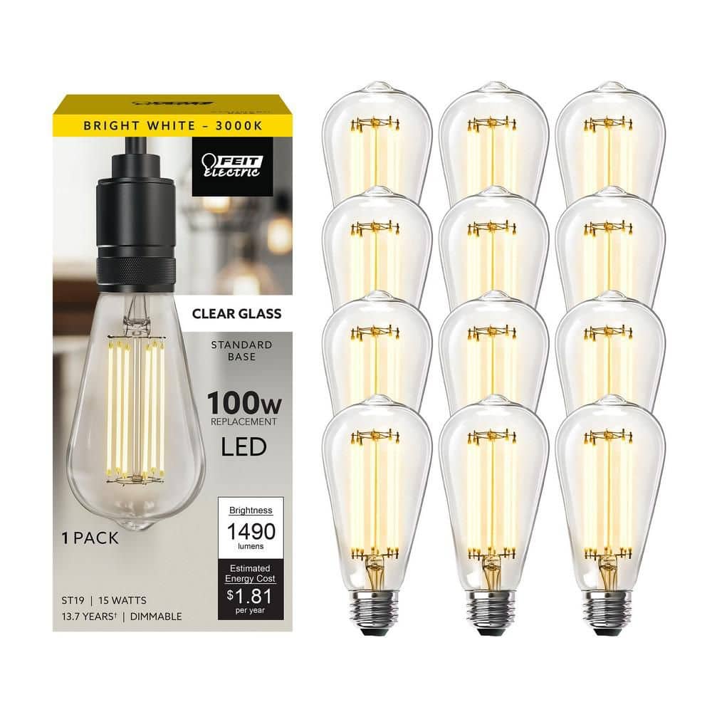 Feit Electric 100-Watt Equivalent ST19 Dimmable Cage Filament Clear Glass E26 Vintage Edison LED Light Bulb Bright White (12-Pack)