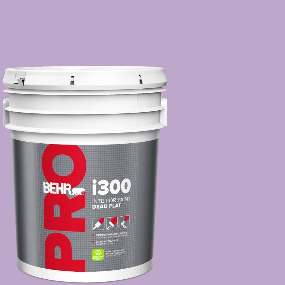 BEHR PRO 5 gal. #M570-4 Cyber Grape Dead Flat Interior Paint