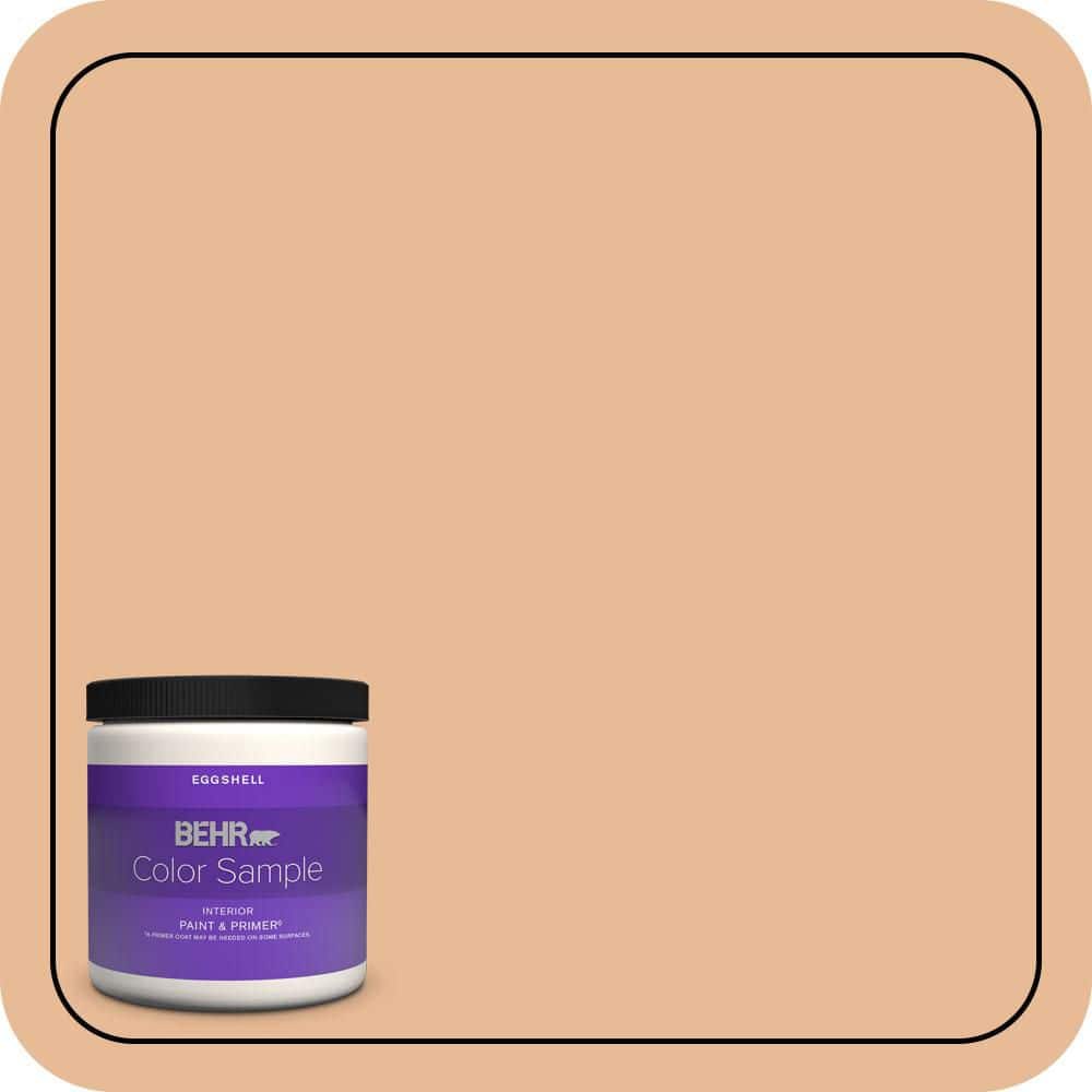 BEHR PREMIUM PLUS #280C-3 Fresh Praline Enamel & Primer Color Sample (1)