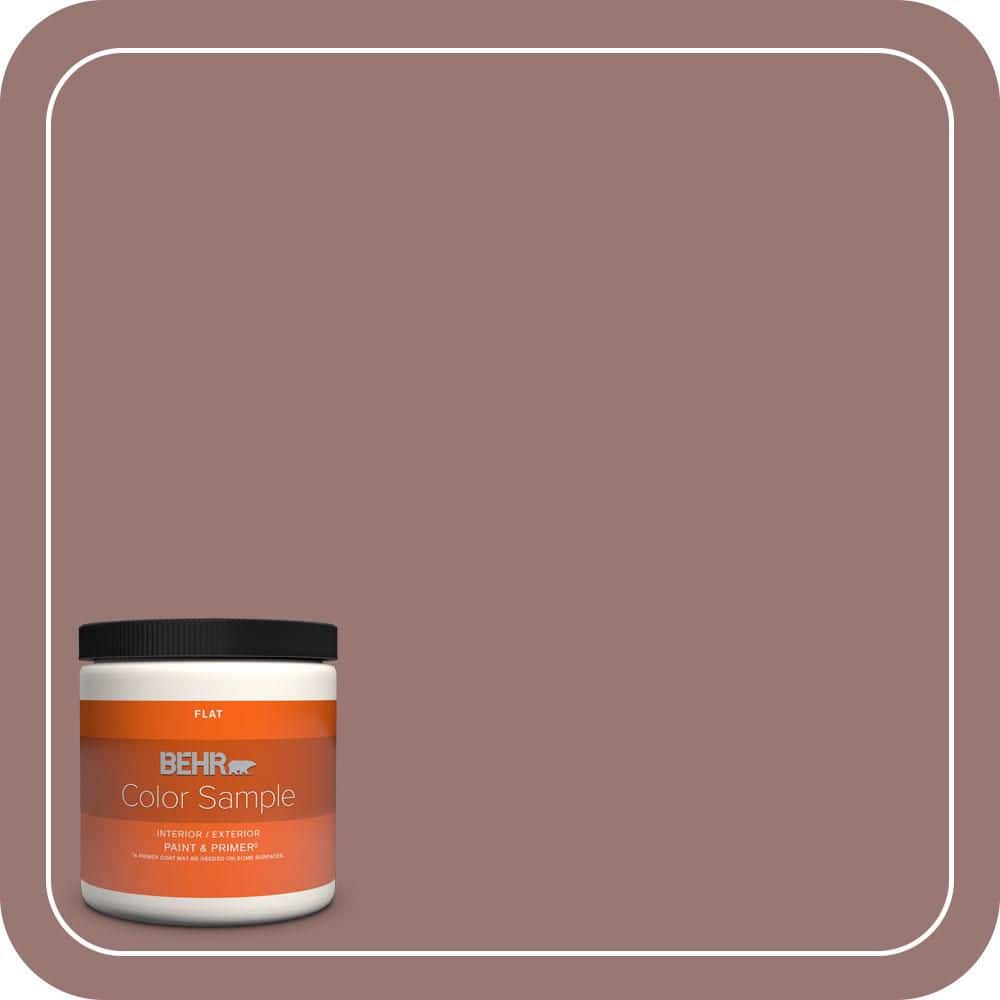 BEHR PREMIUM PLUS #120F-5 Hickory Stick Flat Low Odor & Primer (1)