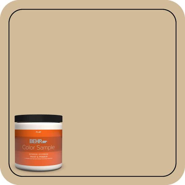 BEHR PREMIUM PLUS 8 oz. #N290-4 Curious Collection Flat Interior/Exterior Paint & Primer Color Sample (2)