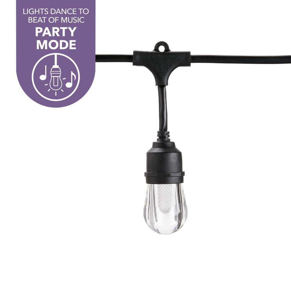 Hampton Bay Smart Black 12-Light 24 ft. Indoor/Outdoor Plug-in Integrated LED RGBW String Light with Party Mode Powered by Hubspace (3)