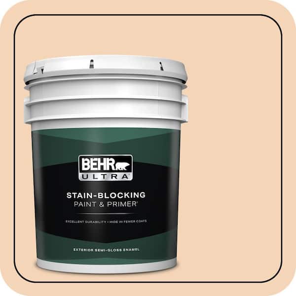 BEHR PREMIUM PLUS #BXC-37 Miami Stucco Flat Interior/Exterior Paint & Primer Color Sample (3)