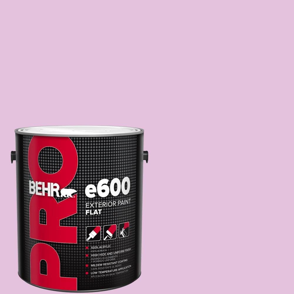BEHR PRO 1 gal. #P110-2 Girl Talk Flat Exterior Paint