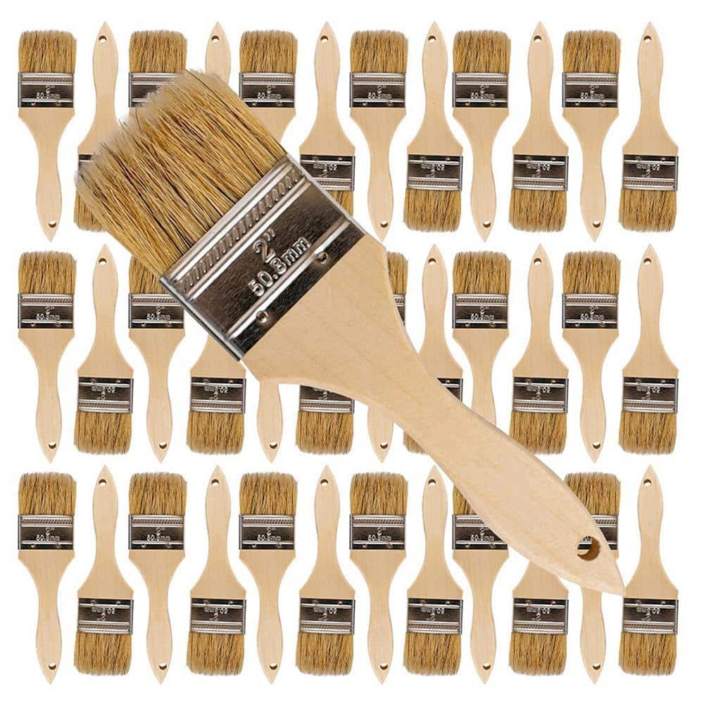 Dracelo 2 in. Flat Chip Paint Brush (36-Pack) (1)