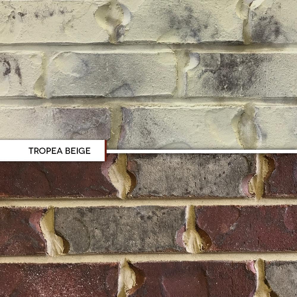 ROMABIO 1 qt. Tropea Beige Limewash Interior/Exterior Paint (2)