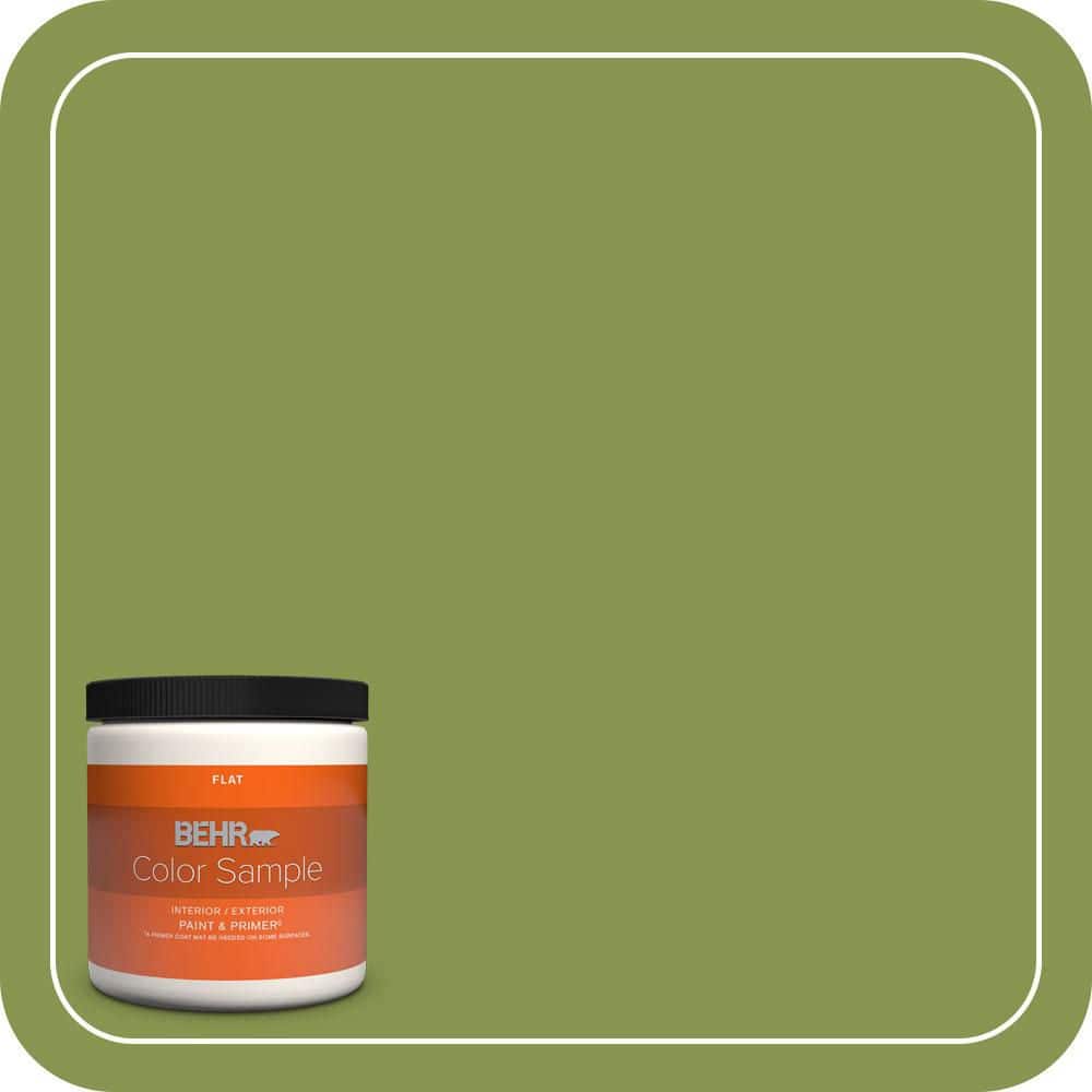 BEHR PREMIUM PLUS #M350-6 Frog Interior/Exterior Paint & Primer Color Sample (1)
