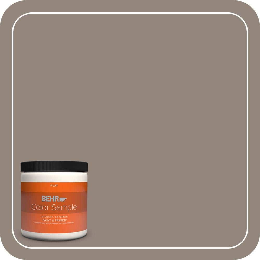 BEHR PREMIUM PLUS 8 oz. #T14-8 Film Fest Flat Interior/Exterior Paint & Primer Color Sample (1)