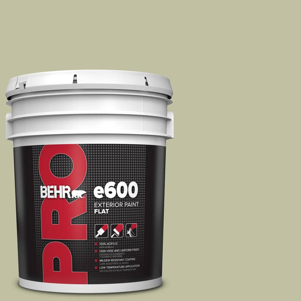 BEHR PRO 5 gal. #S370-3 Sage Brush Flat Exterior Paint