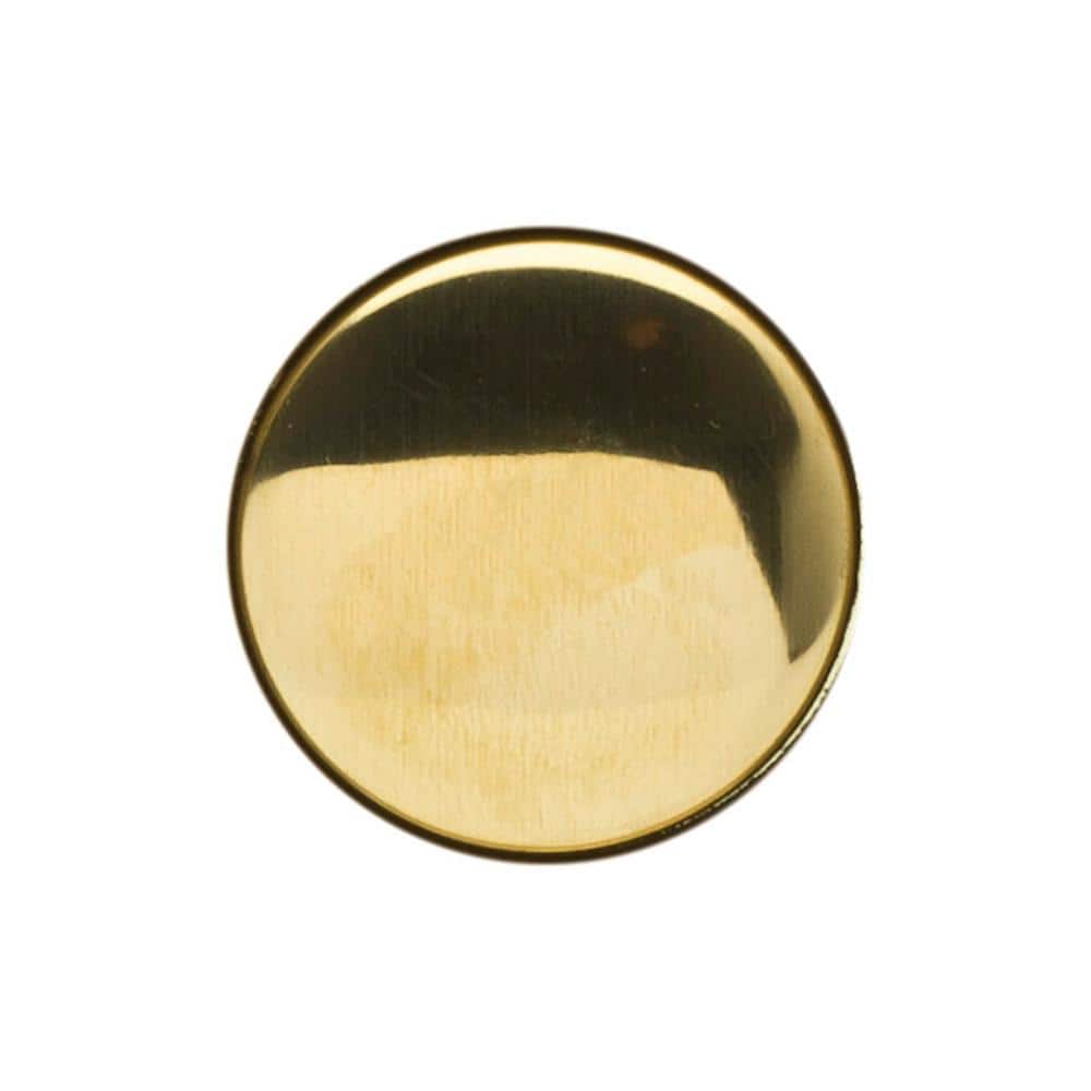 PF WaterWorks 1.5 in. x 1.5 in. ABS Pop-Up Drain Threaded Stopper Cap Polished Brass (1)