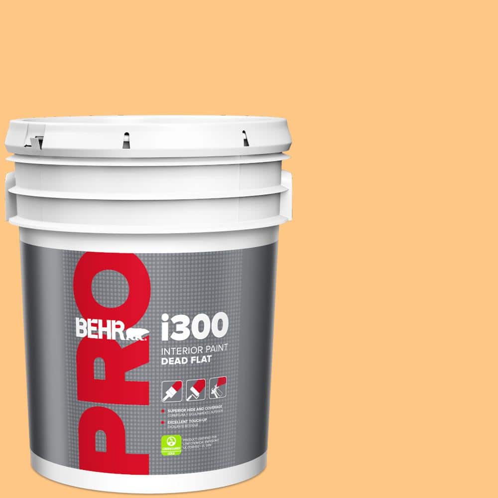 BEHR PRO 5 gal. #P240-4 Mango Tango Dead Flat Interior Paint