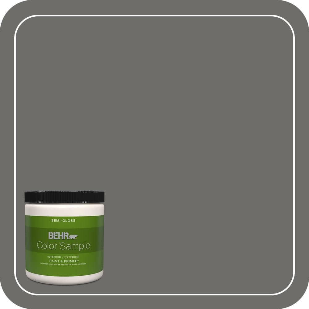 BEHR PREMIUM PLUS #780F-6 Dark Granite Interior/Exterior Paint & Primer Color Sample (1)