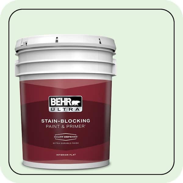 BEHR PREMIUM PLUS #440A-2 Sea Cap Enamel & Primer Color Sample (2)