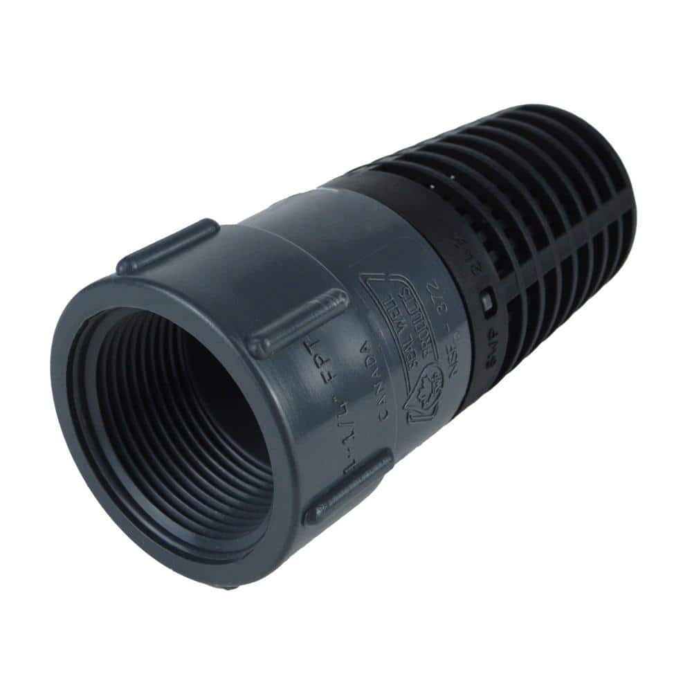 Water Source 1-1/4 in. Plastic Foot Valve (2)