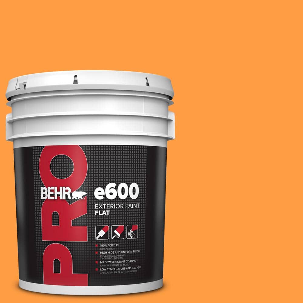 BEHR PRO 5 gal. #P240-6 Exotic Blossom Flat Exterior Paint