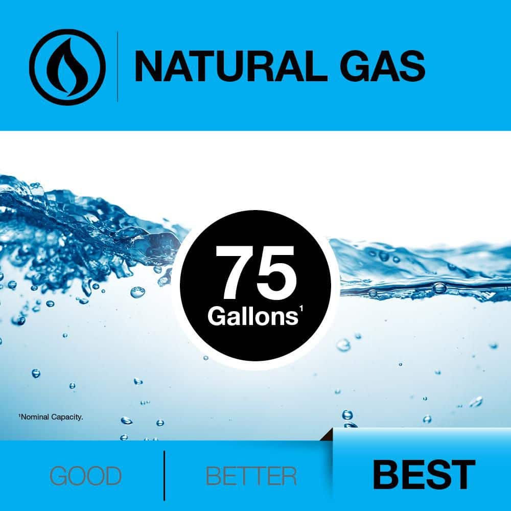 Rheem Performance Platinum Tall 76,000 BTU Natural Gas Water Heater with 12-Year Warranty (2)