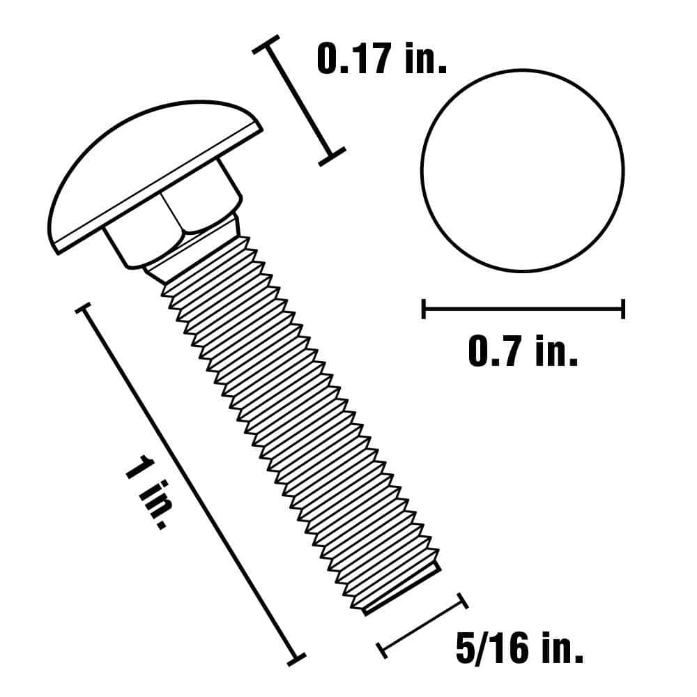 Everbilt 5/16 in.-18 x 1 in. Galvanized Carriage Bolt (3)