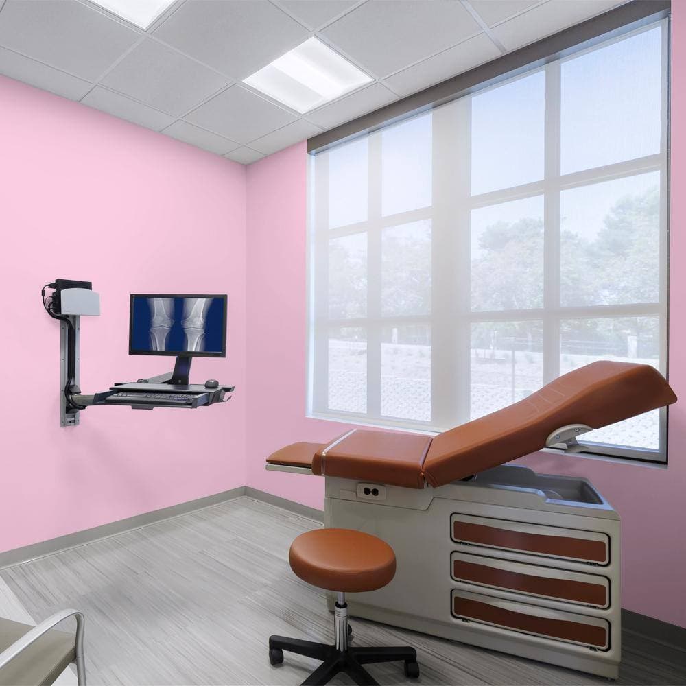 BEHR PRO 1 gal. #P120-1 Starlet Pink Dead Flat Interior Paint (3)