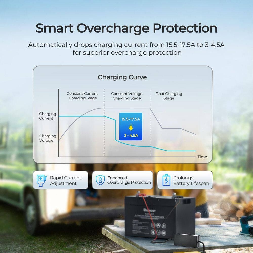 Renogy 12V 20A Portable Battery Charger AC-to-DC for Lithium LiFePO4 Battery 3-Stage Smart Safe Charge (2)