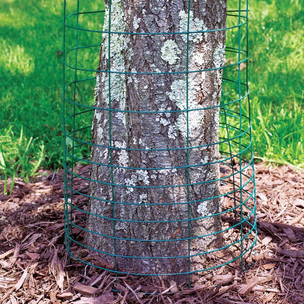 Garden Craft 28 in. H x 50 ft. L Green Vinyl Coated Rabbit Guard (2)