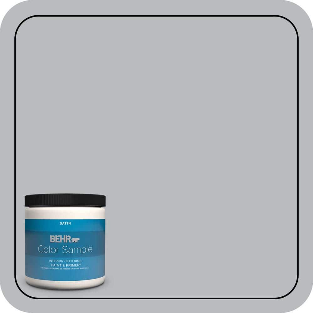 BEHR PREMIUM PLUS #PPU18-05 French Silver Enamel & Primer Color Sample (1)