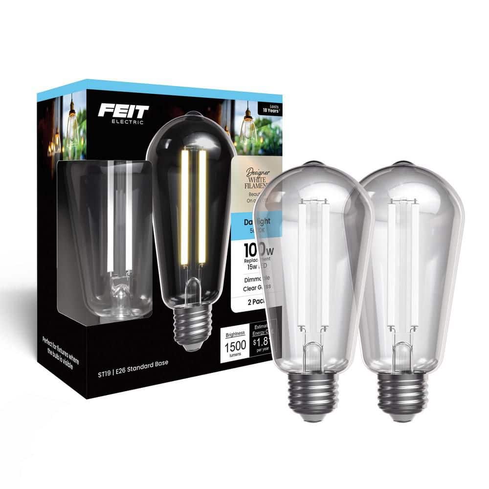 Feit Electric 100-Watt Equivalent ST19 Straight White Filament Clear Glass E26 Vintage Edison LED Light Bulb, Daylight 5000K (2-Pack) (2)