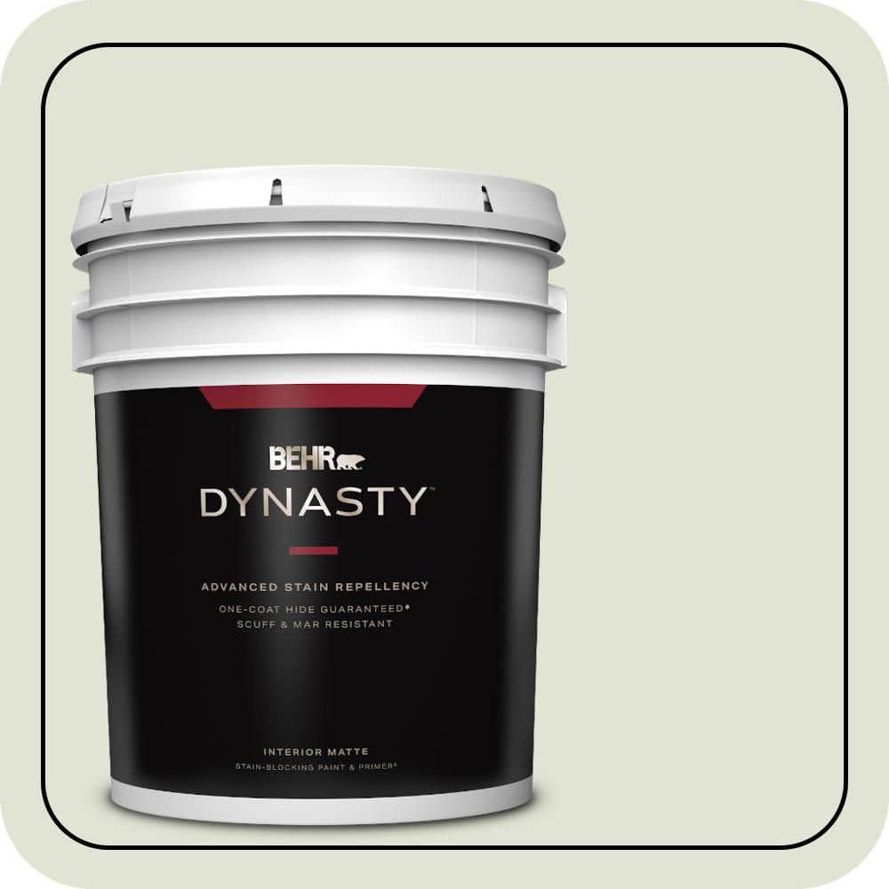 BEHR DYNASTY 5 gal. #MQ3-46 Folly One-Coat Hide Matte Interior Stain-Blocking Paint & Primer