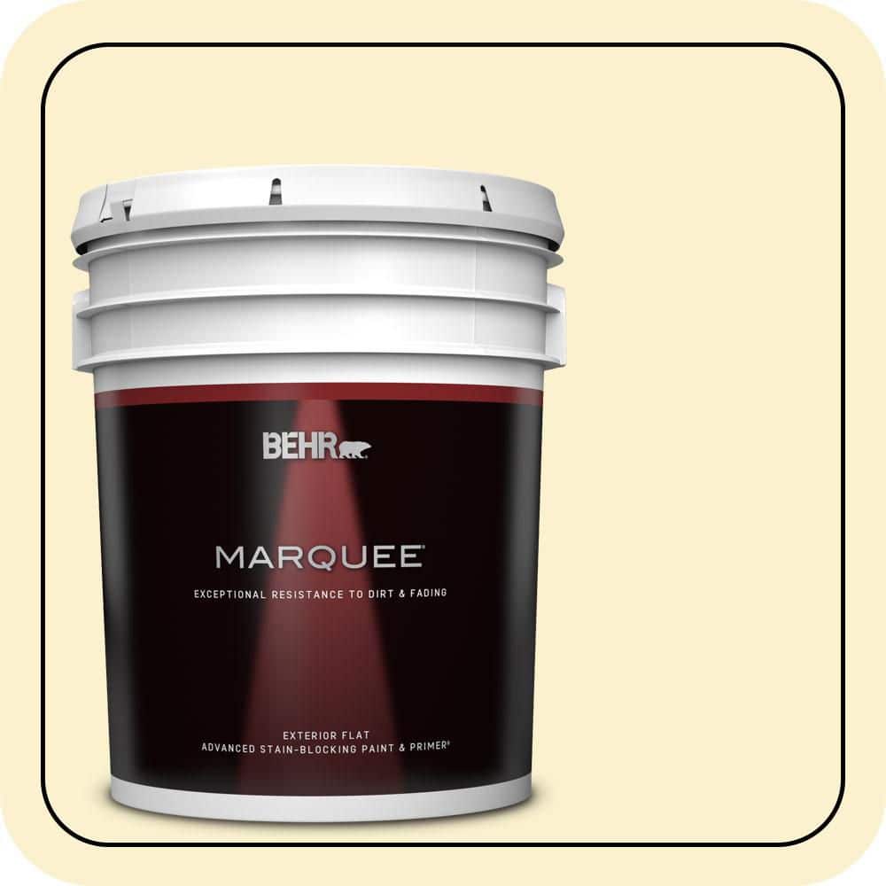 BEHR MARQUEE 5 gal. #P280-1 Summer Bliss Flat Exterior Paint & Primer