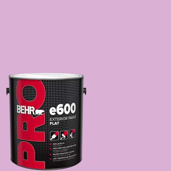 BEHR PRO 1 gal. #P110-3 BFF Flat Exterior Paint (2)