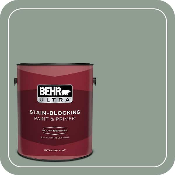 BEHR PREMIUM PLUS #ICC-104 Balsam Fir Interior/Exterior Paint & Primer Color Sample (2)